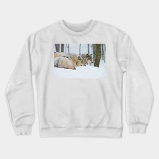 Gray Wolves Crewneck Sweatshirt